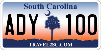 SC license plate ADY100