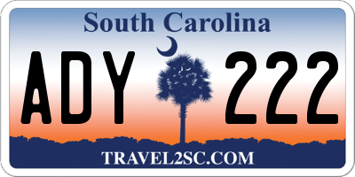 SC license plate ADY222