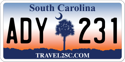 SC license plate ADY231