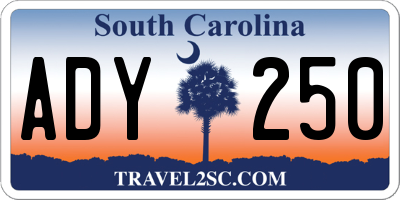 SC license plate ADY250