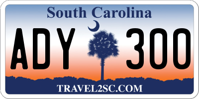 SC license plate ADY300