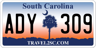 SC license plate ADY309