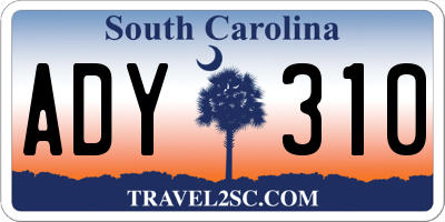 SC license plate ADY310