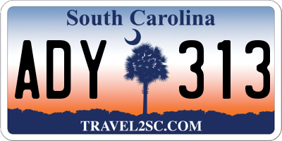 SC license plate ADY313