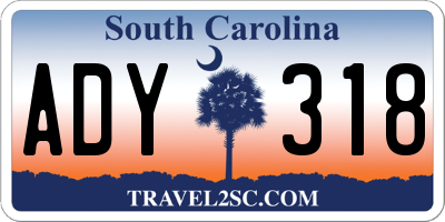 SC license plate ADY318