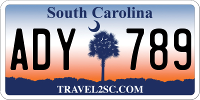 SC license plate ADY789