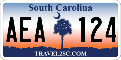 SC license plate AEA124