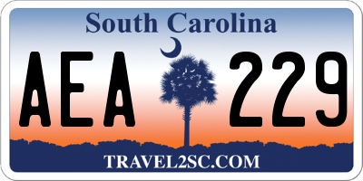 SC license plate AEA229