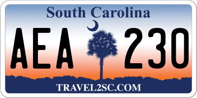 SC license plate AEA230