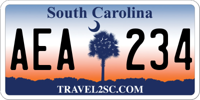 SC license plate AEA234