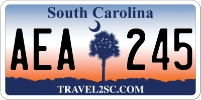 SC license plate AEA245