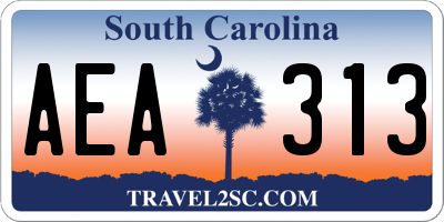 SC license plate AEA313