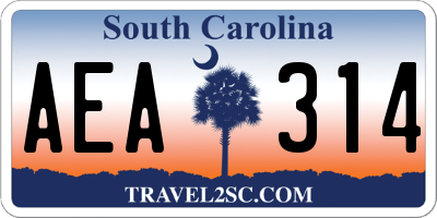 SC license plate AEA314