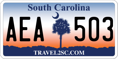 SC license plate AEA503