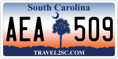 SC license plate AEA509