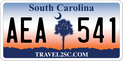 SC license plate AEA541