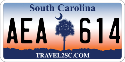 SC license plate AEA614