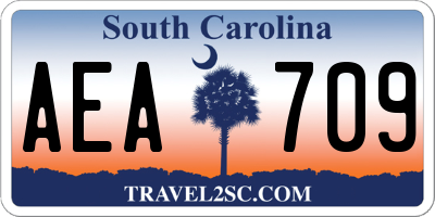 SC license plate AEA709