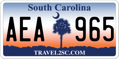 SC license plate AEA965