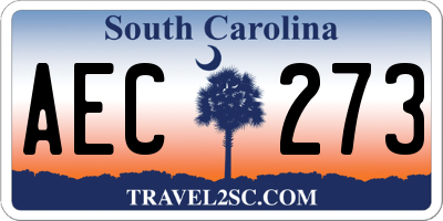 SC license plate AEC273