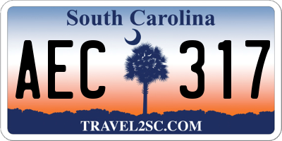 SC license plate AEC317
