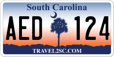 SC license plate AED124