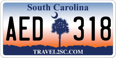 SC license plate AED318