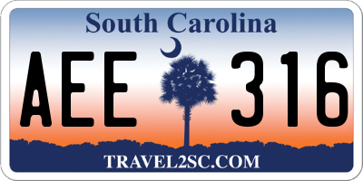 SC license plate AEE316