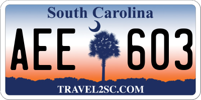 SC license plate AEE603