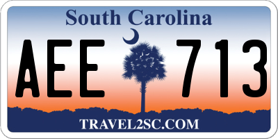 SC license plate AEE713