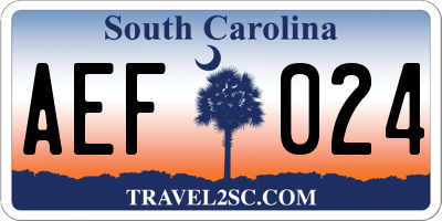 SC license plate AEF024