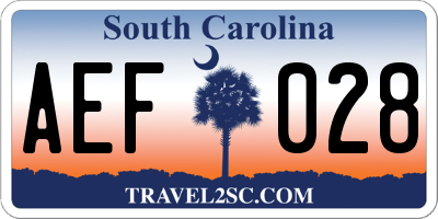 SC license plate AEF028