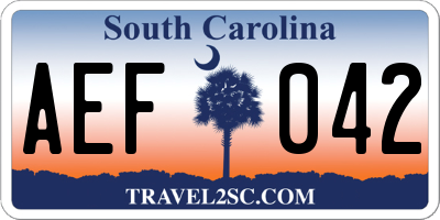 SC license plate AEF042