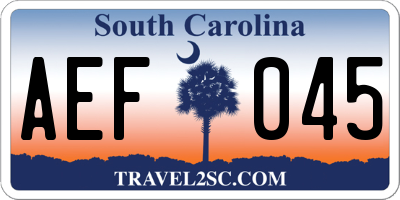 SC license plate AEF045