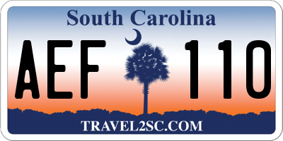 SC license plate AEF110