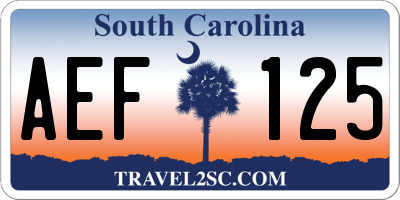 SC license plate AEF125