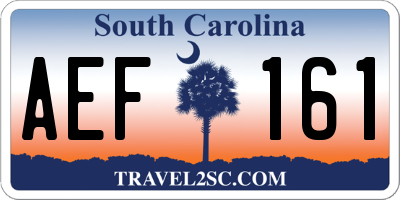 SC license plate AEF161