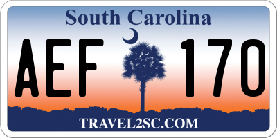 SC license plate AEF170