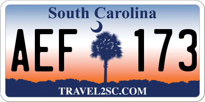 SC license plate AEF173