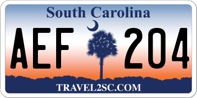 SC license plate AEF204