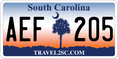 SC license plate AEF205