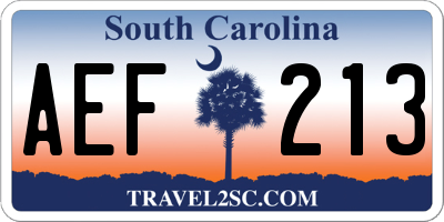 SC license plate AEF213