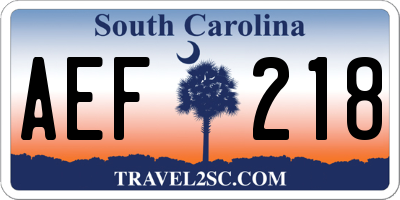 SC license plate AEF218