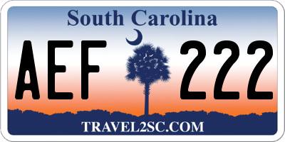 SC license plate AEF222