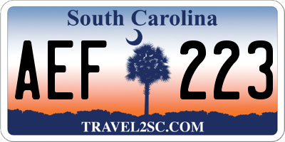 SC license plate AEF223