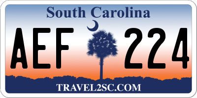 SC license plate AEF224