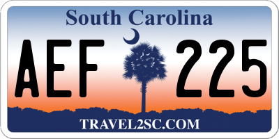 SC license plate AEF225