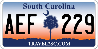 SC license plate AEF229