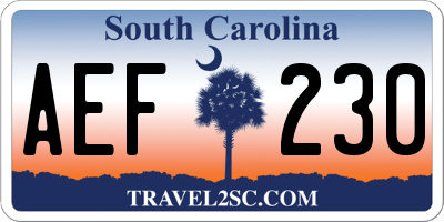SC license plate AEF230