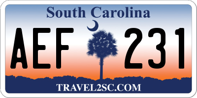 SC license plate AEF231